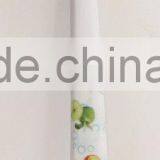 Cheap Meamine Rich Spoon Soup Spoon(SP-01)