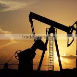 Fast Hydration Guar Gum Powder in Oil Drelling Quality thumbnail-2