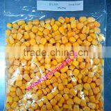 Frozen Whole Sweet Corn Kernels With HALAL, KOSHER Certificates thumbnail-4