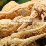 Maca Root Extract 0.6% Maceaene & Macamide thumbnail-1