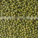 yellow mung beans