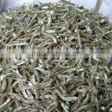 Dried Anchovy Fish thumbnail-1