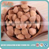 bulk buy from China raw apricot seeds sweet or bitter for food companies with top quality