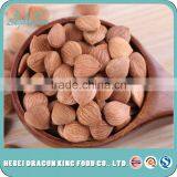 Premium Raw Bitter Apricot Kernels Similar to Califonia Almonds Bulk From China thumbnail-4