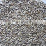 Sunflower Kernels Confectionary Grade /yellow Sunflower Kernels for Buyers thumbnail-2
