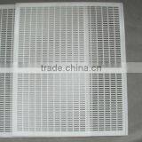 QUEEN EXLCLUDER thumbnail-1