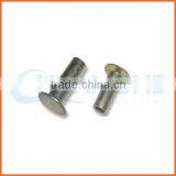 High Quality High Strength Zinc Plated Hollow Rivet