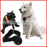 Digital Mini Pet Cam Camera Collar Video Trace DVR Monitor Behavior Dog Cats