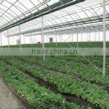 Galvanized Steel Pipe thumbnail-6