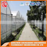 2017 steel frame PE film tomato greenhouse agriculture for vegetable