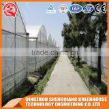 China Multifunction Plastic Greenhouse for Agricultural Farming thumbnail-1