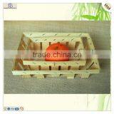 Disposable Fruits Sushi Serving Place Wood Veneer Tray thumbnail-1
