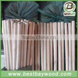 Wooden Mop Stick Export 20-25 Containers Each Month thumbnail-1