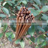 84cm/33" 40-45# Carbonized Self Nocks Bamboo Arrow Shafts With Varnish thumbnail-2