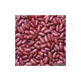 Sell Dark Red Kidney Beans thumbnail-1