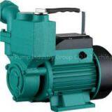 WZB Self-Priming Peripheral Pump