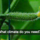 Hebei Lauren Agriculture Technology Co., Ltd company overview - view 2 thumbnail