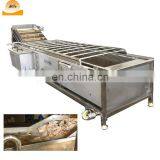 Industrial Ozone Vegetable Fruit Washer Cleaner Vegetable Washing and Drying Machine thumbnail-7