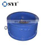 Cast Iron Check Valve DN 1000 thumbnail-4