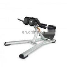 Gym Exercise Equipment ASJ-DS033 Manufacturers Provide Gym Sports Equipment 45 Degree Lower Back Extensions Exercise Bench thumbnail-3