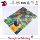 OEM High Definition 3D Lenticular Picture