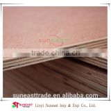 good quality 12mm combi core bintangor faced plywood, compertitive price exporting to Singapore
