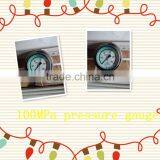 Shatter Proof 0-100MPa Digital Pressure Gauge,low Price thumbnail-2