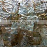 Penguin Shell Table Top Tile for Home Decoration