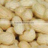 Peanut in Shells thumbnail-4