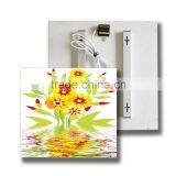 2016 TUV GS/SAA/Rohs/CE Infra Panel Frameless Electric Panel Radiator 360w/720w/960/1200w