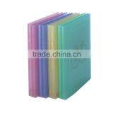 10 Pockets A4 Clear Book, Colorful Transparent Clear Book (BLY10-4008PP)