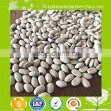 Plastic Defoamer Ldpe Recycled Plastic Pellets for Plastic Desiccant Masterbatch thumbnail-1