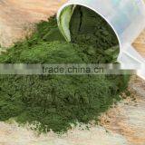 100% PURE SPIRULINA POWDER