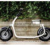 Factory Price Citycoco 2 Wheels off Road Smart City Scooter thumbnail-1