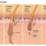 High Quality Alarm Tag Laser Diode Remove Security From China thumbnail-3