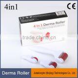 High Quality 4 in 1 Derma Roller 720/300/1200 Needles Stainless Microneedle Dermaroller Kits for Skin Whitening thumbnail-4