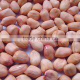 Chinese Light Peanut Kernel With Red Skin thumbnail-3
