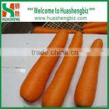 2016 Best Quality Fresh Red Carrots thumbnail-6