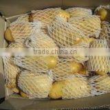 2011 A Grade Holland Potatoes thumbnail-1