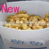 Fresh Wet Ginger thumbnail-1