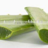 China Stevia ISO, GMP, HACCP, KOSHER, HALAL Certificated thumbnail-3