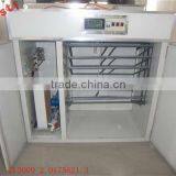 2012 the Newest Incubator With Higher Hatchability