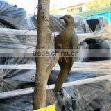 OEM HDPE Plastic Bird Decoy,Fire Bird,plastic Pigeon Decoy,hunting Decoy Bird thumbnail-3