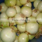 Small Onion Peeling Machine Grading Machine Dicing Machine thumbnail-2