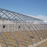 Single-span Film Greenhouse for Sale thumbnail-1
