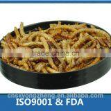 Yongzheng Dried Mealworms ;Good Quality Dried Mealworms ;Dried Mealworms for Fish Food thumbnail-1