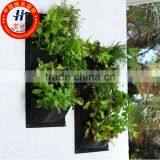 Vertical Greening Wall thumbnail-1