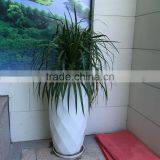 Fiberglass Planter Pot thumbnail-2