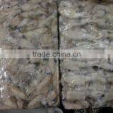 Block Frozen Baby Squid 500g/1kg thumbnail-1