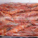 Borealis thumbnail-3